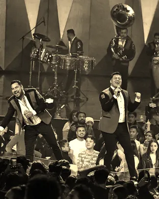 Banda Ms Reno