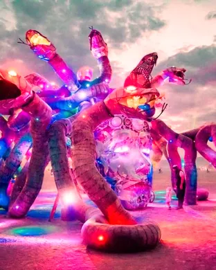 Burning Man - 9 Day Pass