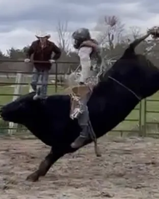 Xtreme Bulls