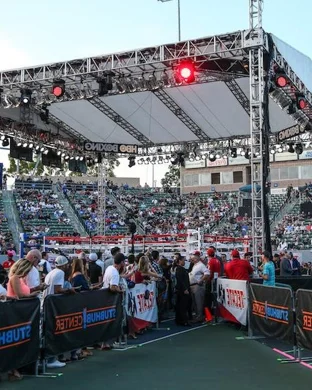 Let's Get It On: Live Professional Boxing
